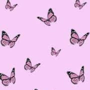 Meet your Posher, Mimi